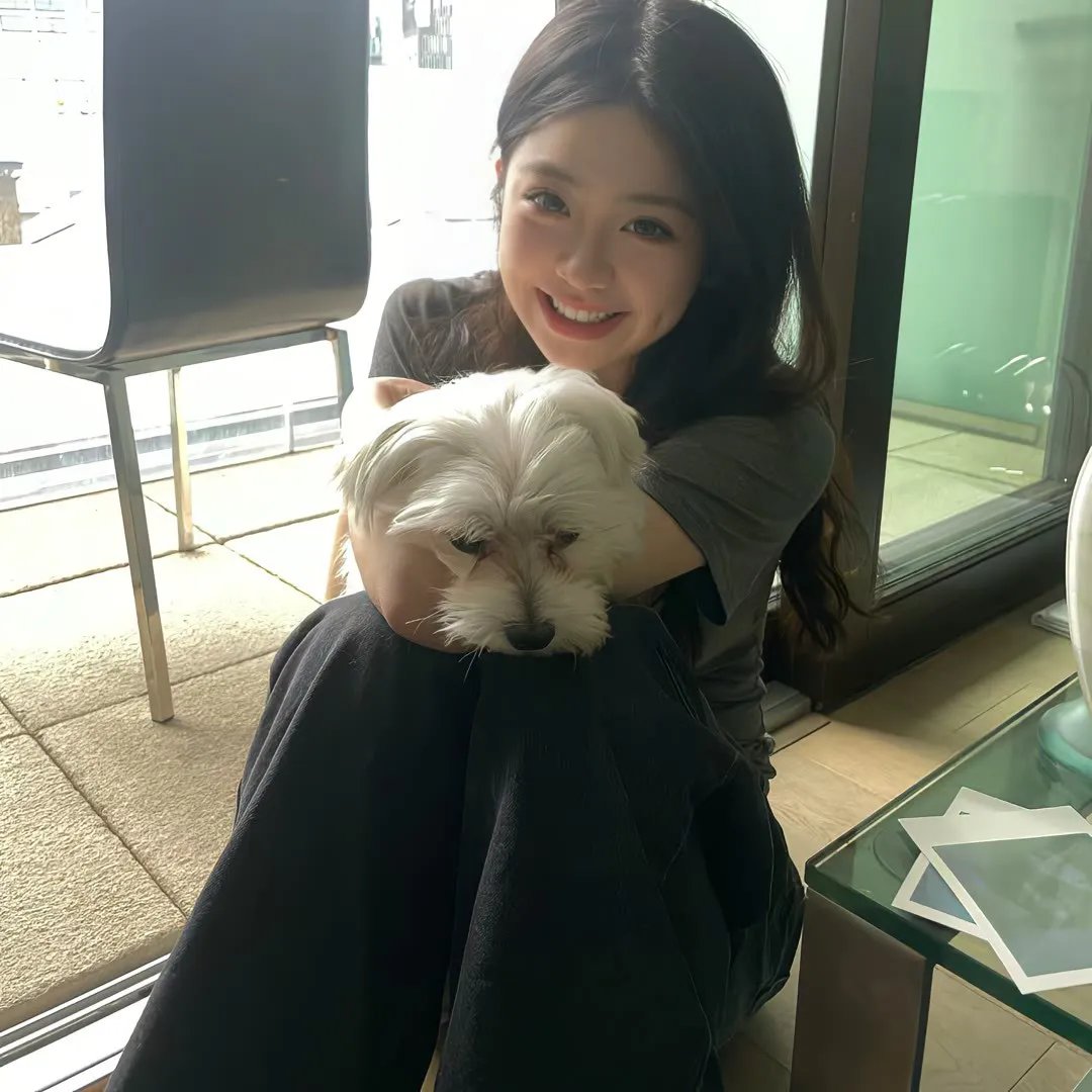 萌犬偷渡记